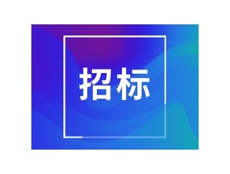 国投广西新能源发展有限公司2025年度宣传文印采购询比采购公告