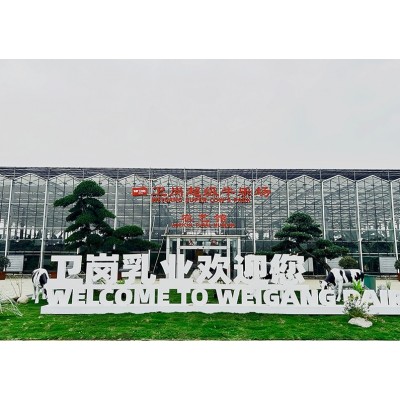 卫岗超级牛乐场研学基地场景打造——科普研学、互动体验乐不停