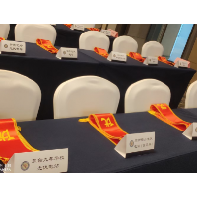 2024年光伏发电运营管理与产业发展创新交流研讨会暨电力行业(第八届)光伏发电运行指标发布会图3