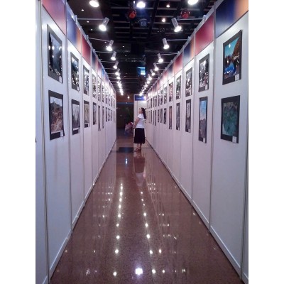 标准展板“一”字型图2