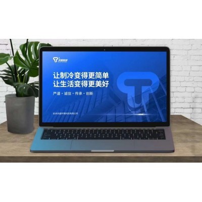 PPT设计 | 天越科技·热氟化霜图3