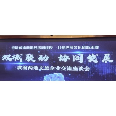 双城联动、协同发展丨川渝共进、智燃未来图3