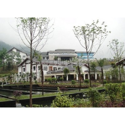 张家界纳百利国际度假酒店图2