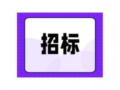 深圳市中核华泰能源环境科技有限公司企业文化建设广告服务采购招标公告