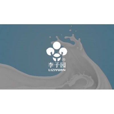 李子园图4