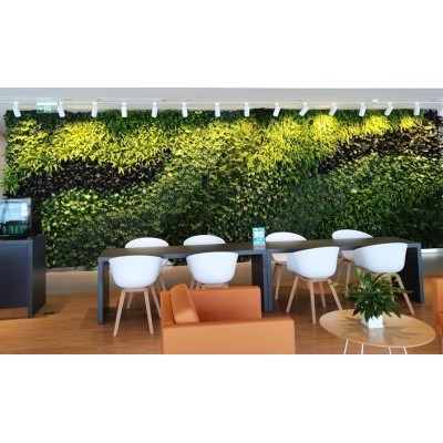 地产包装案例图4