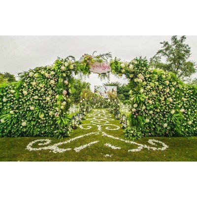 《蝴蝶花园》图4