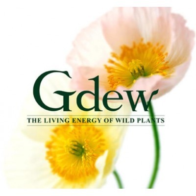 韩国Gdew化妆品图3