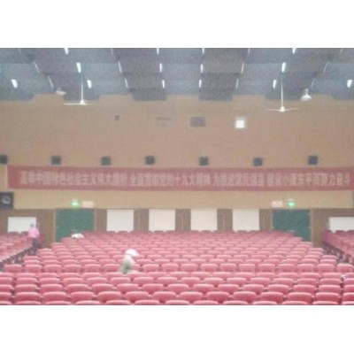 山东省泰安市东平县影剧院图5