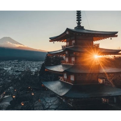 携程Trip出海品牌全案图1