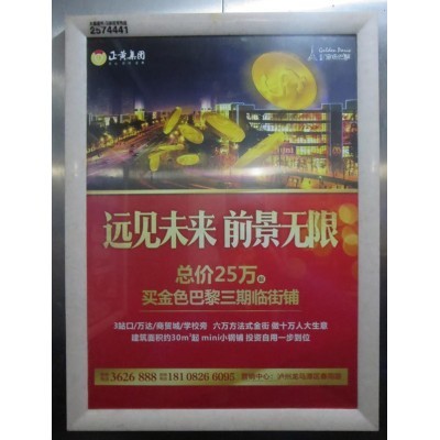 正黄•金色巴黎图3