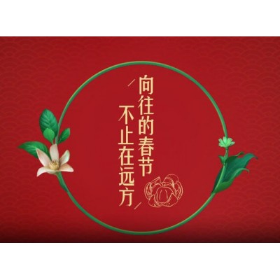 向往的春节|金典