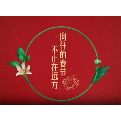 向往的春节|金典图5