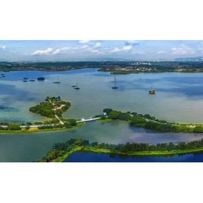 云东海国家湿地公园图2