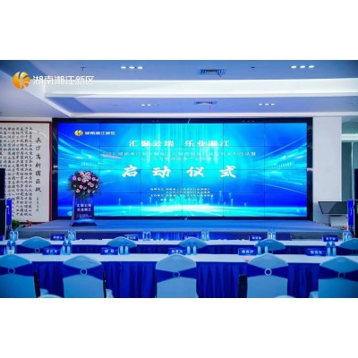 湘江新区人力资源服务启动仪式