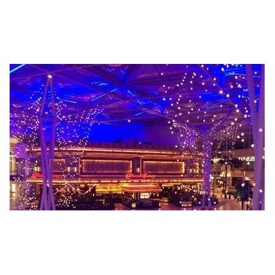 酒店礼堂婚庆工程图3