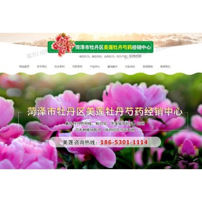 菏泽市牡丹区美莲牡丹芍药经销中心