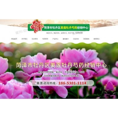 菏泽市牡丹区美莲牡丹芍药经销中心图5