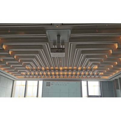 杆式投影机升降TY/TYD系列