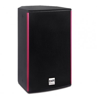 前出气孔专业扩声音箱CF10图2