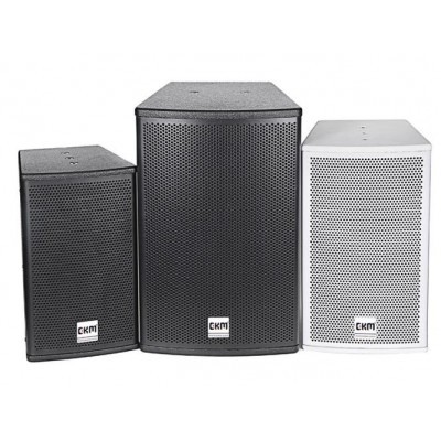 两分频全频专业会议音箱CP-12图5