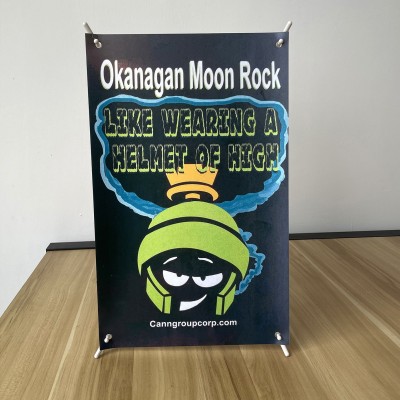 【小型x展架】商场超市广告易拉宝展示架子 A3/A4桌面塑料x展架图3