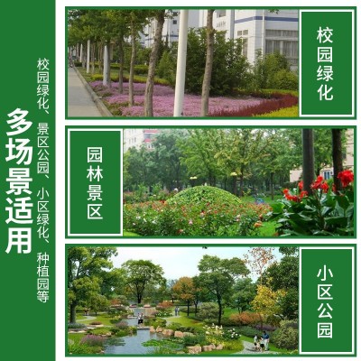 多材质多样式公园绿化树铭牌 亮色树木认养牌 学校植物介绍牌图3