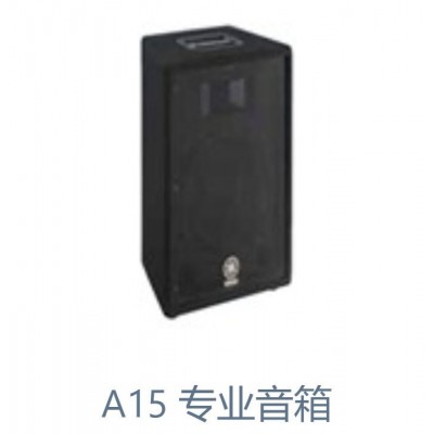 A15 专业音箱图4