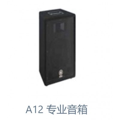 A12 专业音箱图2