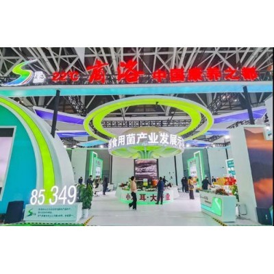 中国·陕西丝博会图5