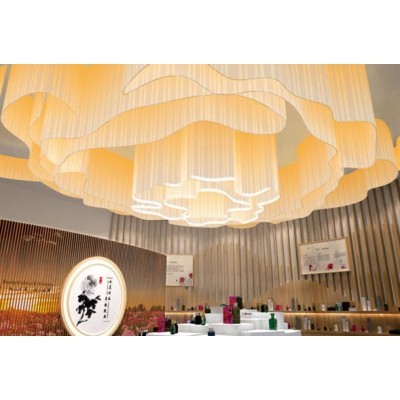 峨边牡丹文化展厅图2