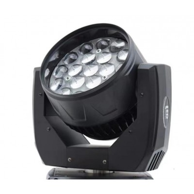 R19 19颗调焦染色